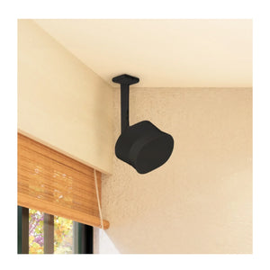 Sonos Era 300 - Flexson Ceiling Mount (Black)