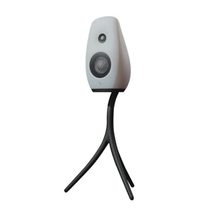 Vivid Audio Kaya S12 Bookshelf Speaker with Kaya S12 FS stand