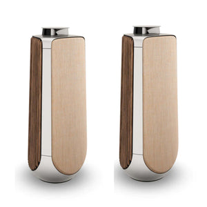 Bang & Olufsen Beolab 50 Floorstanding Speaker - Silver (Each)