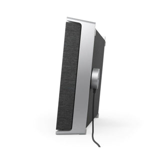 Bang & Olufsen Beosound Level