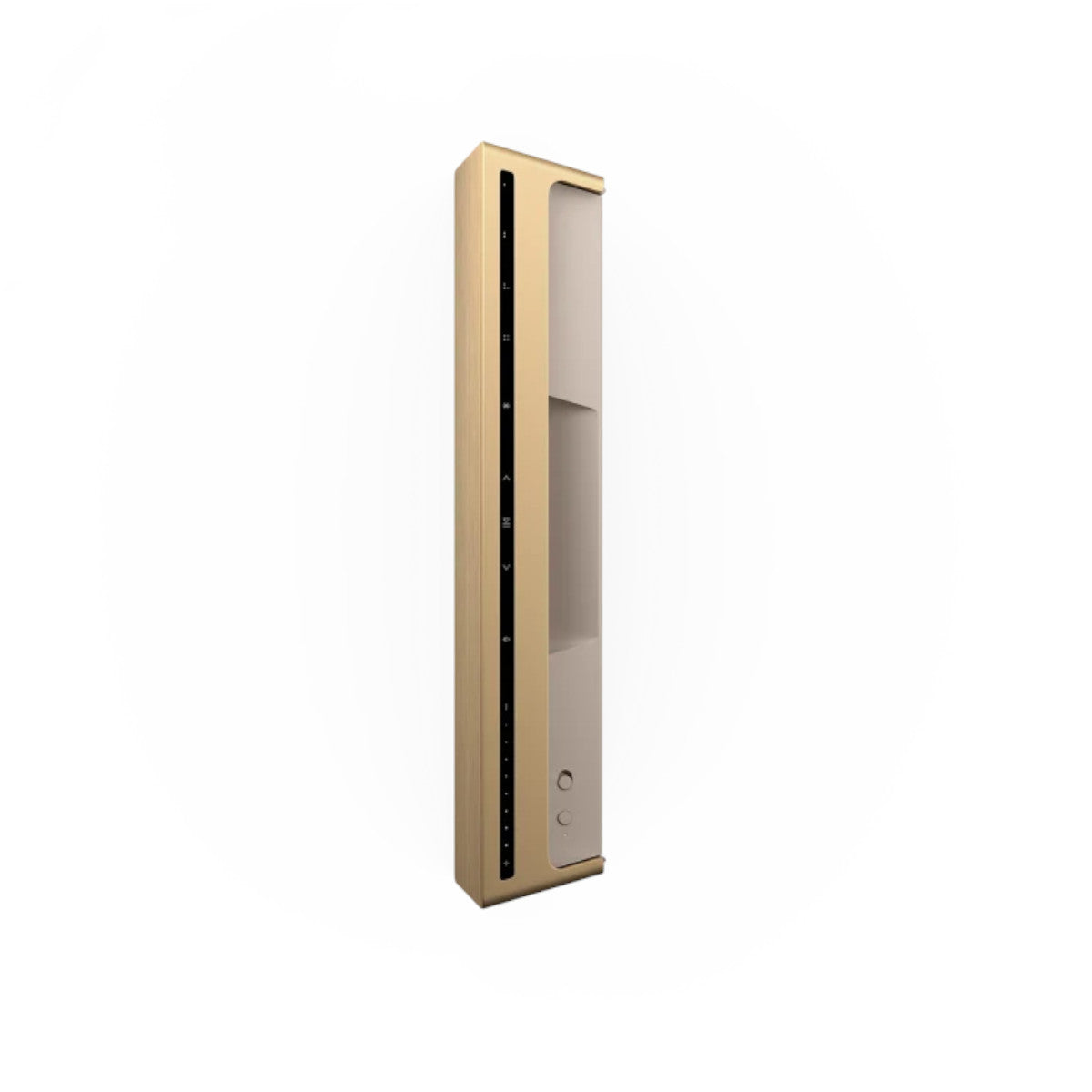Bang & Olufsen Beosound Level Smart Portable WiFi Speaker (Gold Tone)