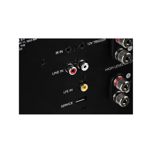 Definitive Technology Descend Series DN12 12” Subwoofer