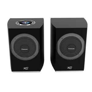 Cabasse Rialto Wireless Bookshelf Speaker (Black) - Front view