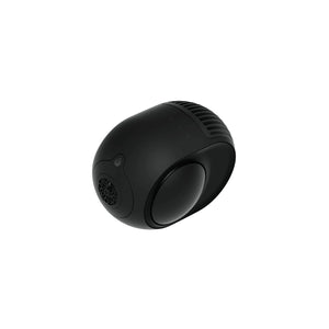 Devialet Phantom 2 Custom speaker