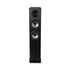  Cabasse Jersy MC170 - Black Ebony