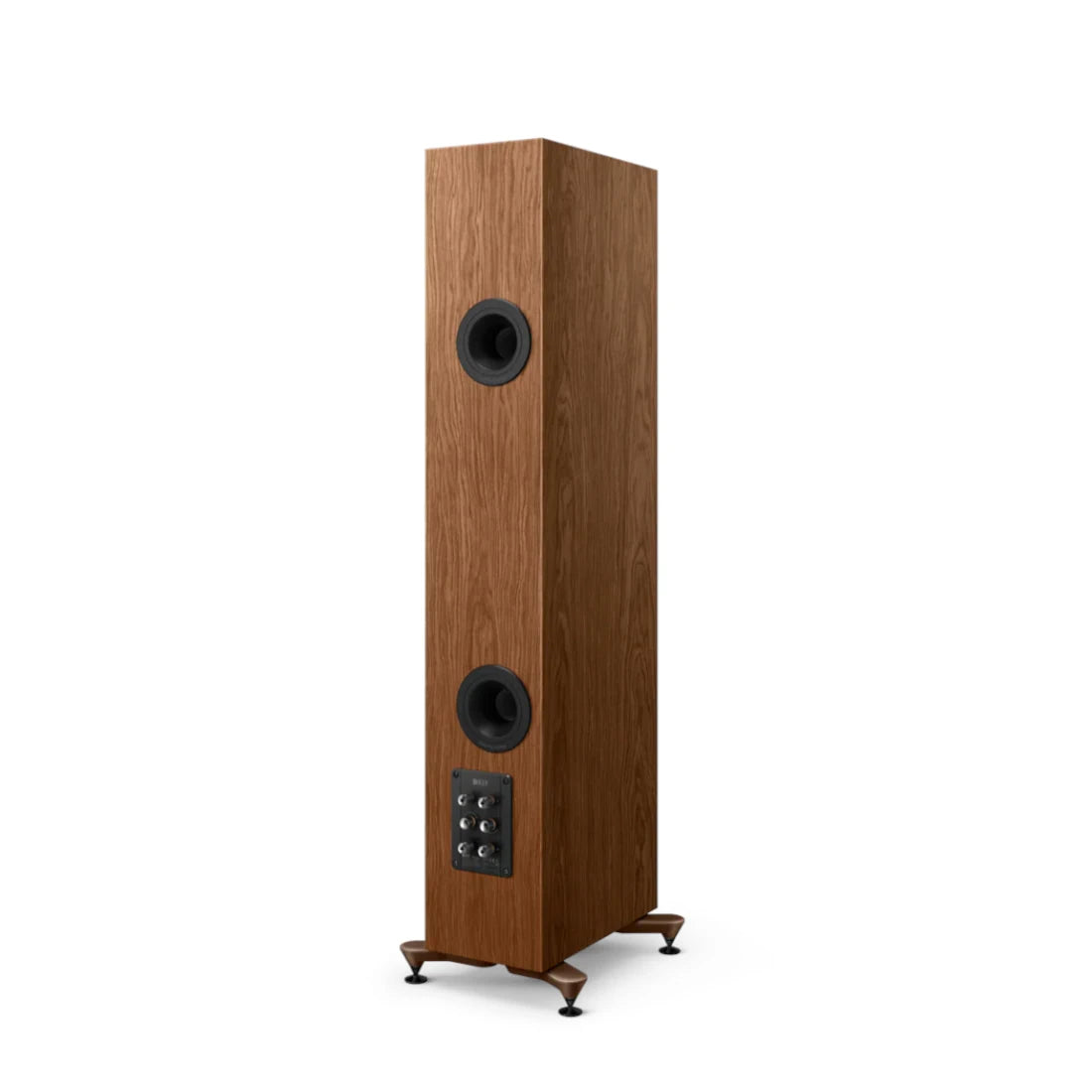 KEF R5 Meta (Walnut) - Rear view