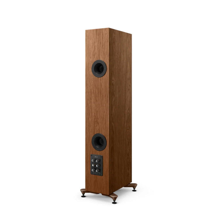 KEF R5 Meta (Walnut) - Rear view
