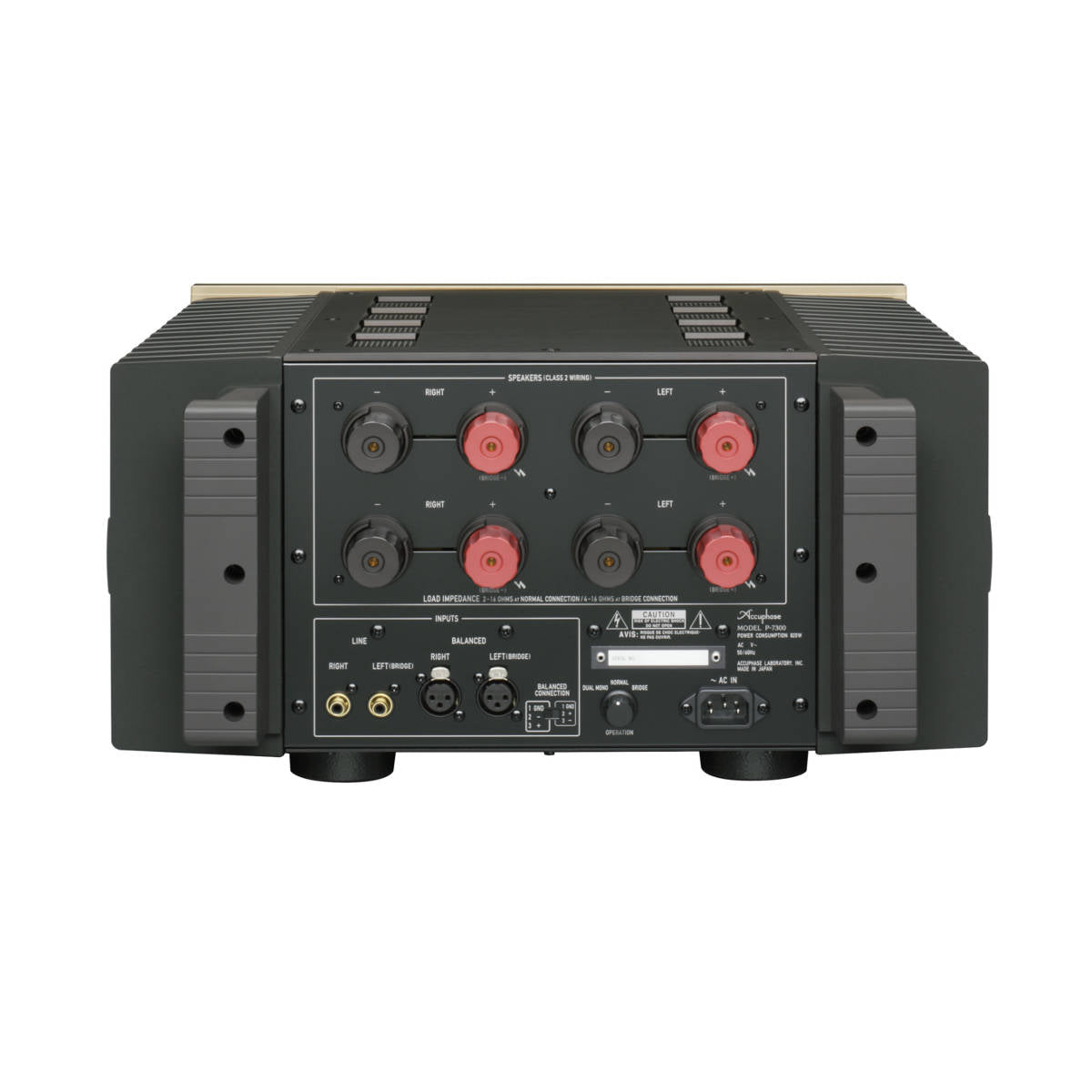 Accuphase P-7300 Stereo Power Amp - Rear View