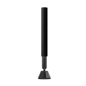 Bang & Olufsen Beolab 28 Wireless Stereo Speaker - Black Anthracite (Each)