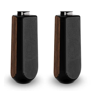 Bang & Olufsen Beolab 50 Floorstanding Speaker - Pano Black Limited Edition (Each)