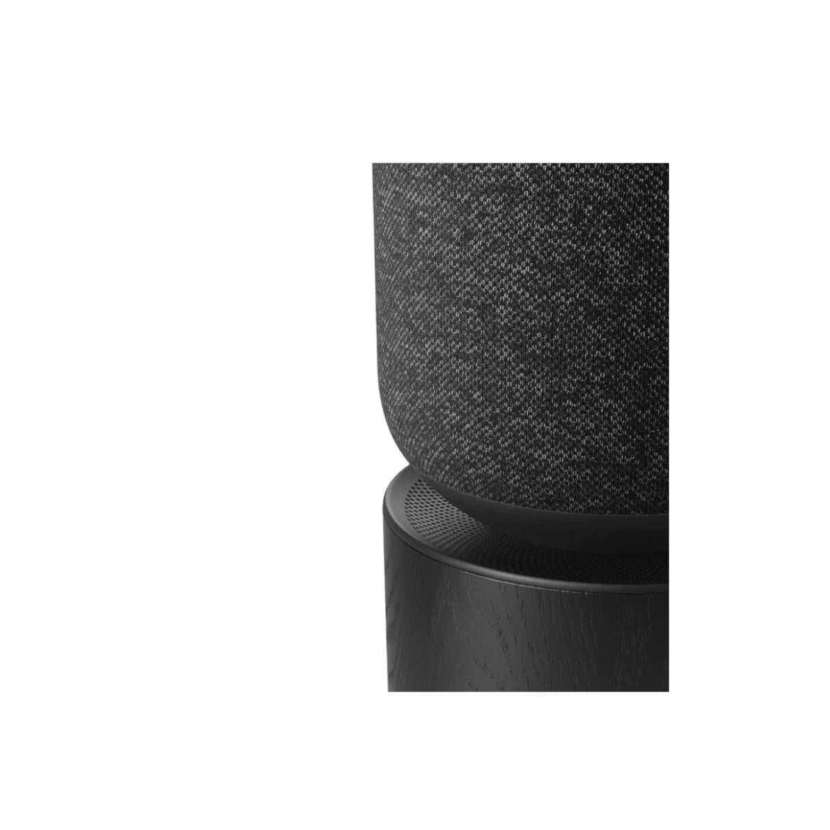 Amazon.com: Bang & Olufsen Beosound Explore - Wireless Portable Outdoor  Bluetooth speaker, IP 67 Dustproof and Waterproof, Anthracite : Electronics