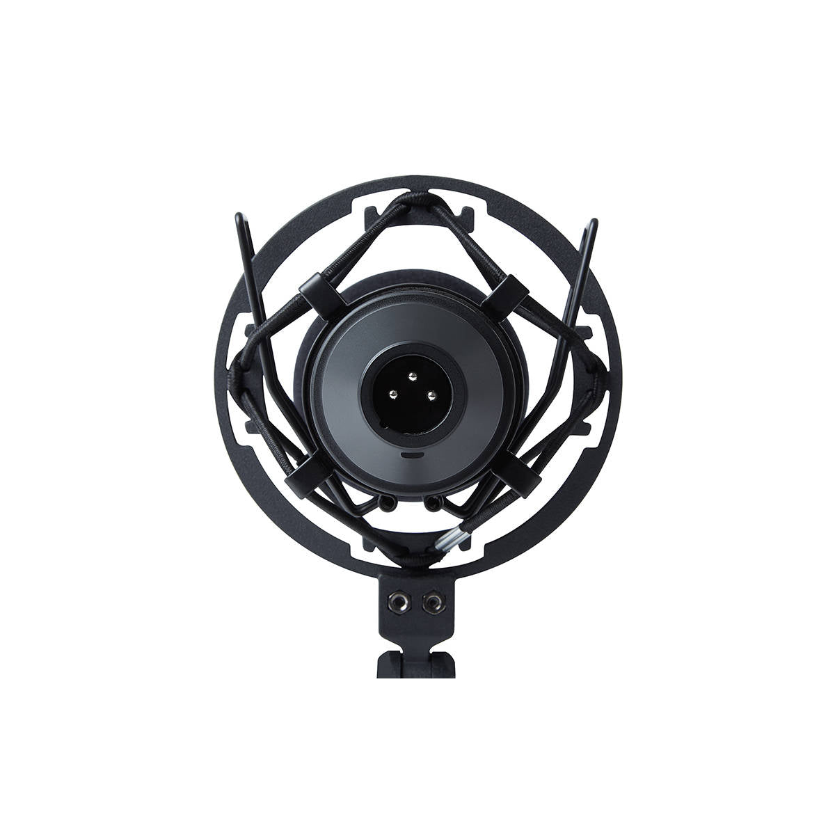 Marantz Professional MPM-1000 Studio Recording Condenser Microphone with Shockmount - Ooberpad India