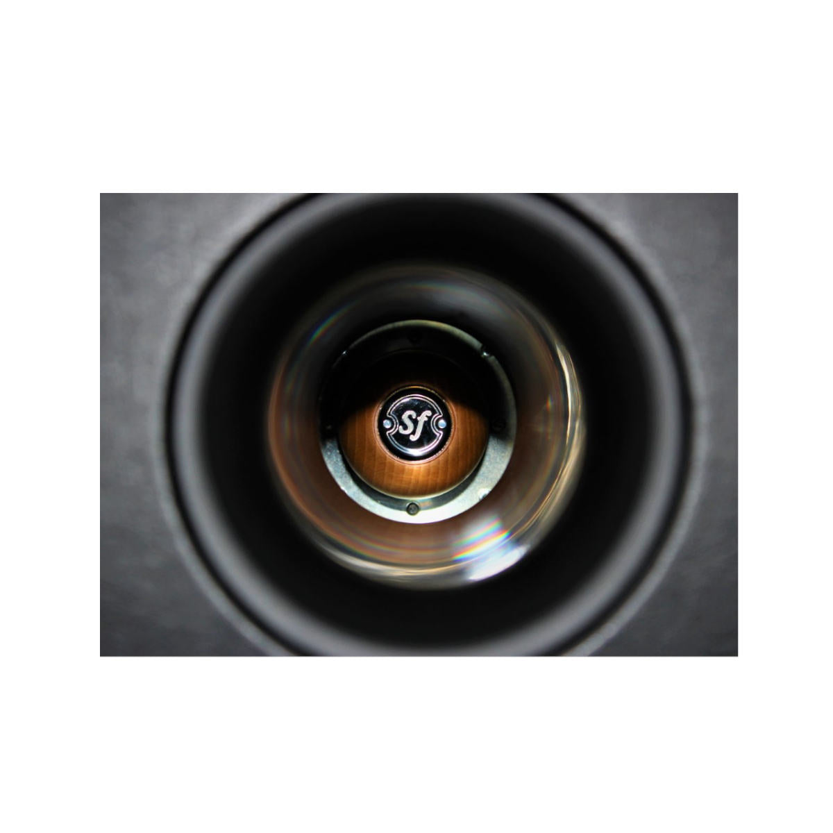 Sonus faber Maxima Amator 2-way Floorstanding Speaker (Pair) - Ooberpad India