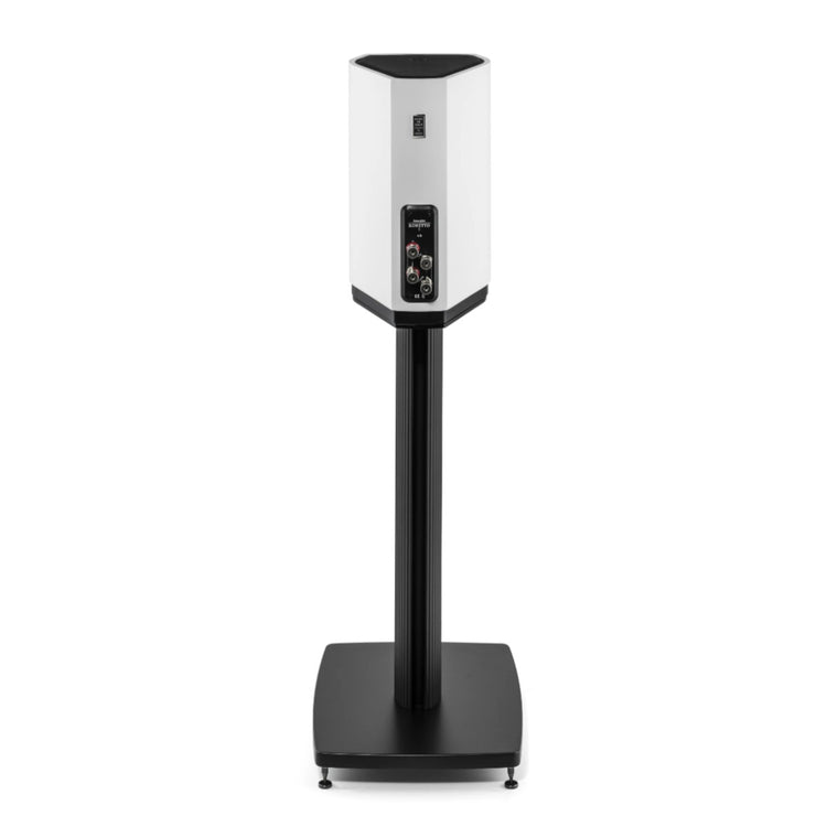 Sonus faber Sonetto I Bookshelf Speaker - Rear View