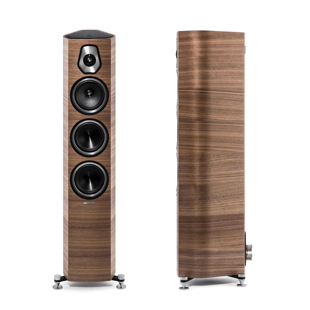 Sonus faber Sonetto III Floorstanding Speaker (Walnut) - Ooberpad India