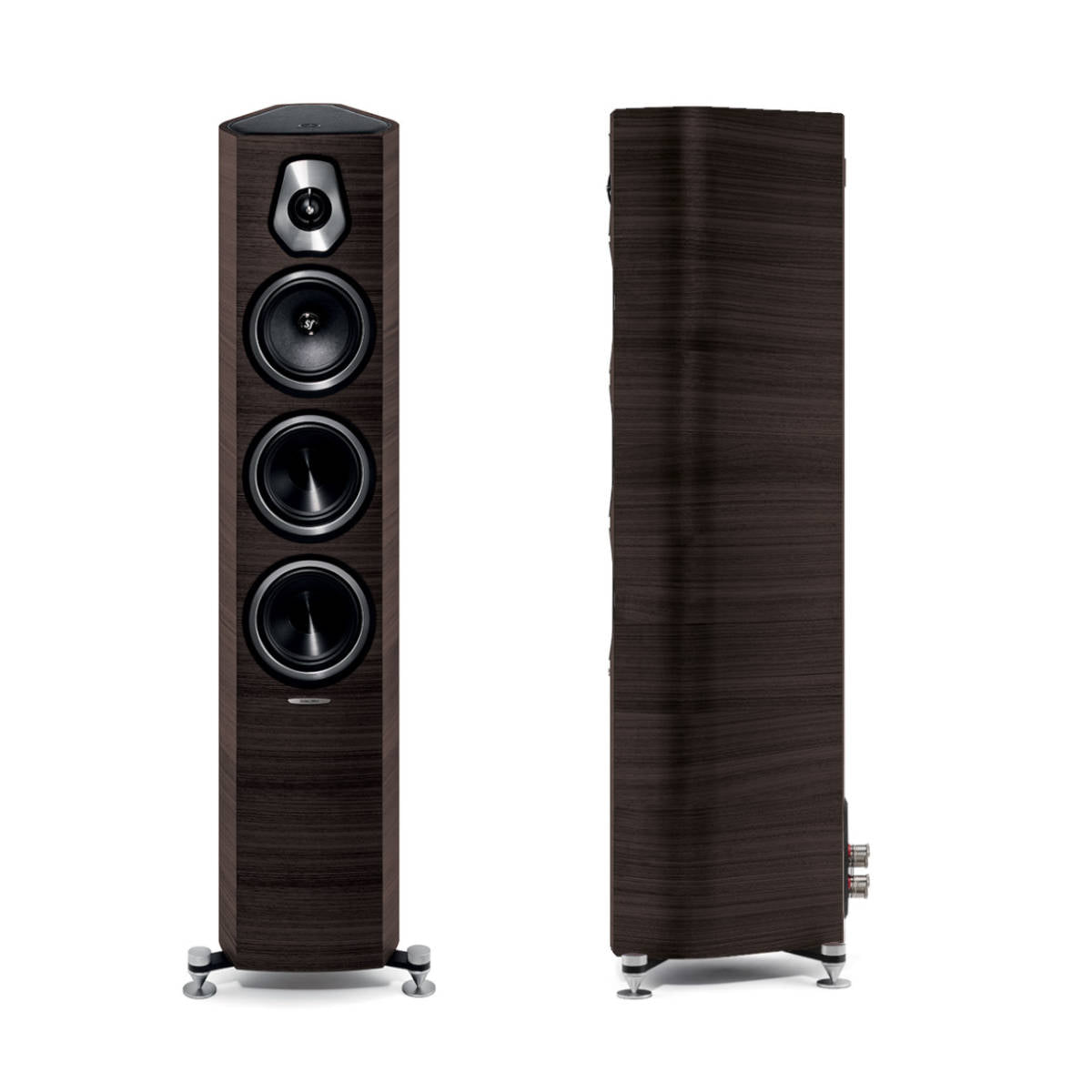 Sonus faber Sonetto III Floorstanding Speaker (Wenge) - Ooberpad India