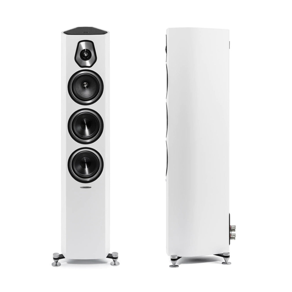 Sonus faber Sonetto III Floorstanding Speaker (White) - Ooberpad India