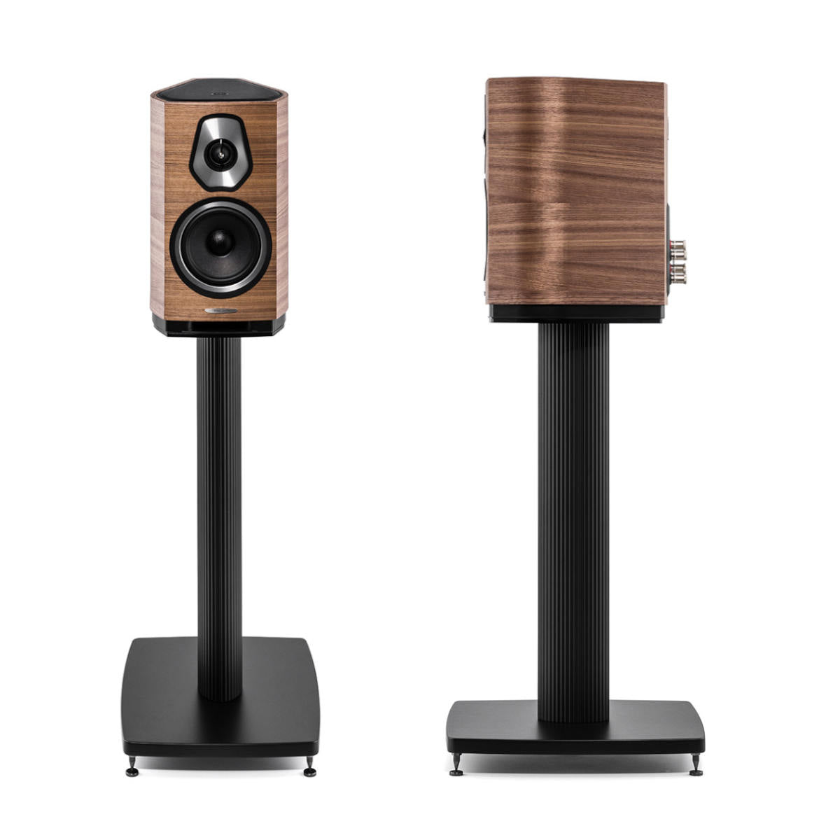 Sonus faber Sonetto I Bookshelf Speaker (Walnut) - Ooberpad India