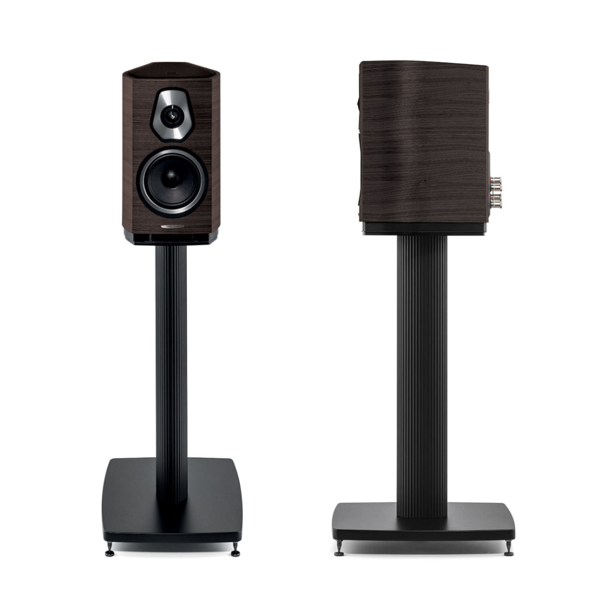 Sonus faber Sonetto I Bookshelf Speaker (Wenge) - Ooberpad India